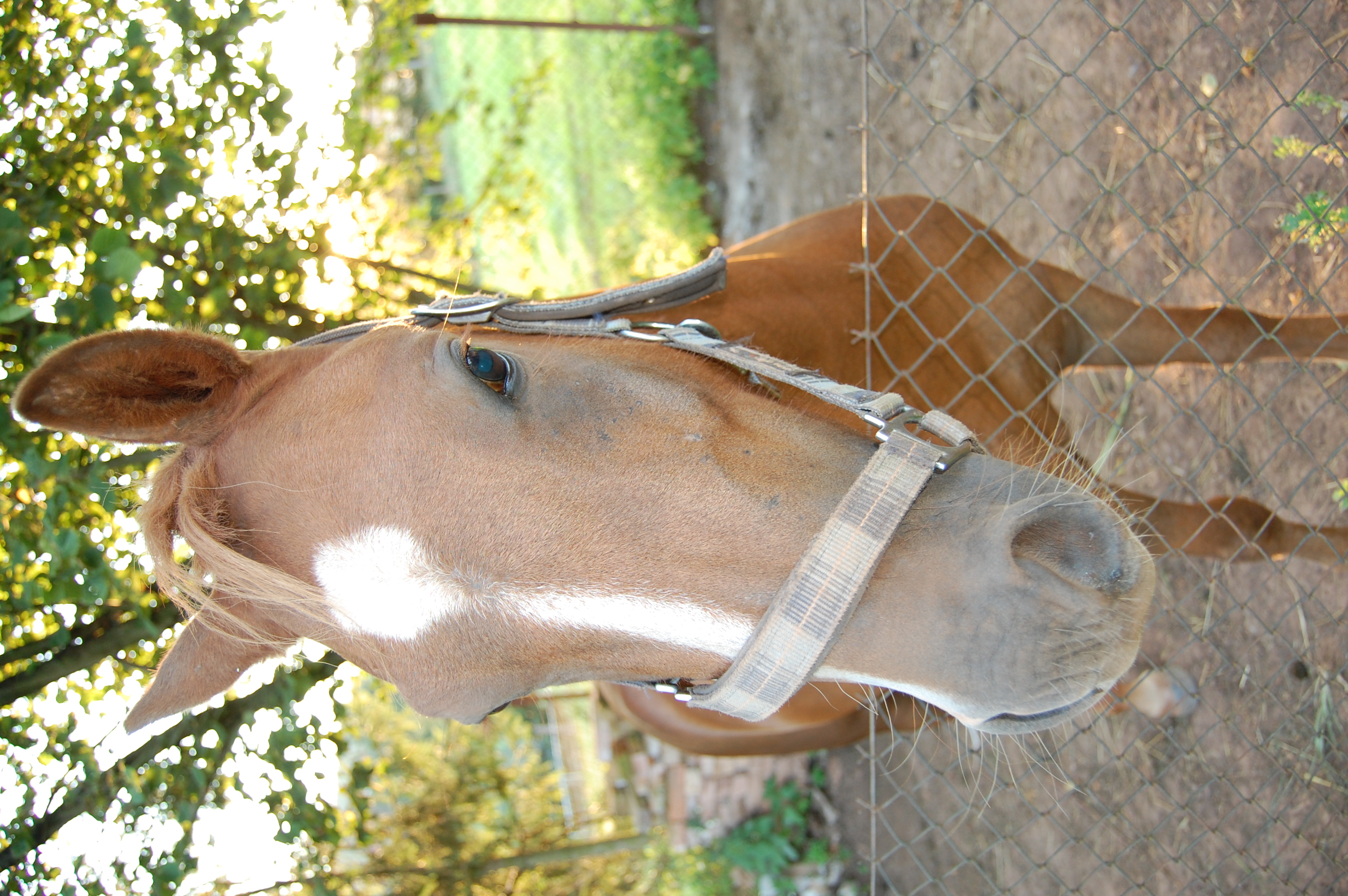 Bastien 01